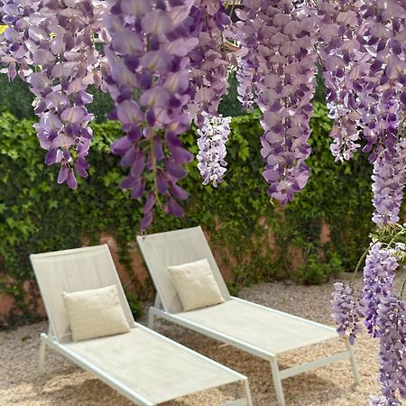 Bakea Apto Con Jardin Privado Бакио Экстерьер фото