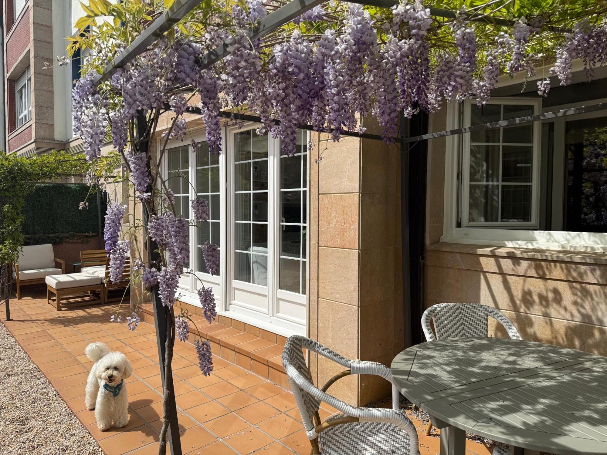 Bakea Apto Con Jardin Privado Бакио Экстерьер фото